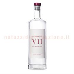 Gin Seven Hills Cl.70