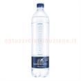 Acqua San Benedetto Frizzante Icon Pet 1ltx12
