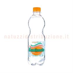 Acqua Gaudianello Cl.50 x24