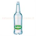 Acqua Gaudianello pet lt.1 x12