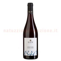 Pinot Nero  H.lun Doc Cl.75