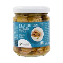 Filetti Di Tonnetto Striato In Olio Gr.130