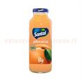 Santal Albicocca Cl.25 X24