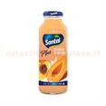 Santal Pesca Mango Cl.25 X24