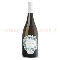 Tenuta Viglione Vino Bianco Herba Igp Cl.75