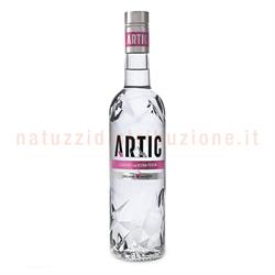 Vodka Artic Pesca Lt.1