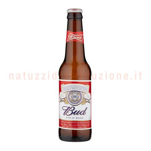 Birra Budweiser Cl.33 x24