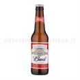Birra Budweiser Cl.33 x24