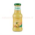 Develey Vetro Curry Ml.250