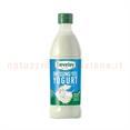 Develey Bt Pet Dressing Yogurt Ml.500