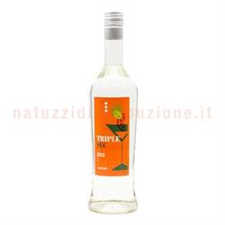 Fiume Triplesec Cl.100