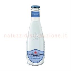 Gassosa San Pellegrino Cl.20 X24